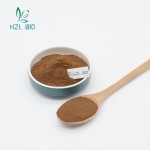 Purslane Extract Factory - 10:1 20:1 Leaf Powder