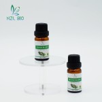 Rosemary Essential Oil Factory - 100% Natural Food Grade