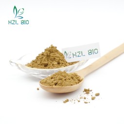 Rosemary Extract Factory - 5%-25% Carnosic Acid Powder