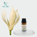 Michelia Alba Essential Oil Factory - Phenylethanol Glycosides Natural