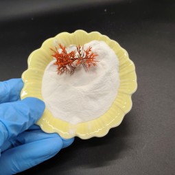 Gamma-Terpinene Factory - High Purity CAS 99-85-4