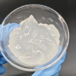 Cosmetic EDTA-2Na Factory - for Shampoo Lotion