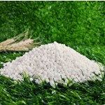 Urea Fertilizer Supplier - 46% Agriculture Grade