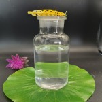 Dipropylene Glycol Butyl Ether Manufacturer - CAS 29911-28-2