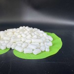 Citric Acid Factory - Acidity Regulator Powder