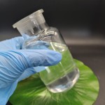 Dipropylene Glycol Butyl Ether Manufacturer - CAS 29911-28-2