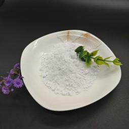 Sorbic Acid Manufacturer - Food Grade CAS 110-44-1