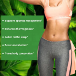 Fat Burner Capsule Supplier - ODM Private Label Herbal Pills Fast