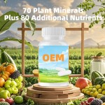 Vegetable Capsules Manufacturer - OEM Private Label Immune Health Multi