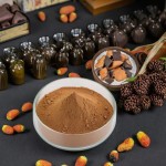 Chaga Mushroom Extract Manufacturer - 100% Natural Inonotus Obliquus