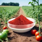Lycopene Powder Supplier - Pure Tomato Extract Best Price