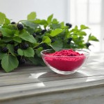 Mulberry Fruit Powder Supplier - Pure Natural Best Price