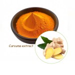 Turmeric Extract Powder Factory - Pure Natural Curcumin 10%-95% Root