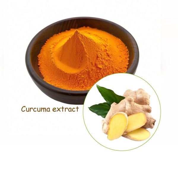Turmeric Extract Powder Factory - Pure Natural Curcumin 10%-95% Root