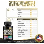 Sea Moss Capsule Factory - OEM Black Seed Ashwagandha Ginger Shilajit