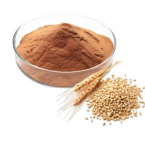 Barley Extract Powder Supplier - High Quality Solvent Extracted Halal