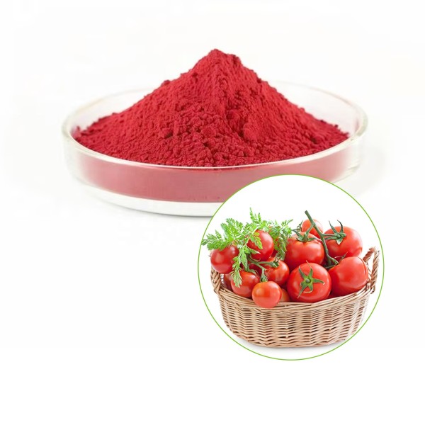 Lycopene Powder Supplier - Pure Tomato Extract Best Price