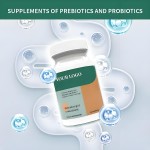 Herbal Capsules Factory - OEM Superior Quality Intestinal Health