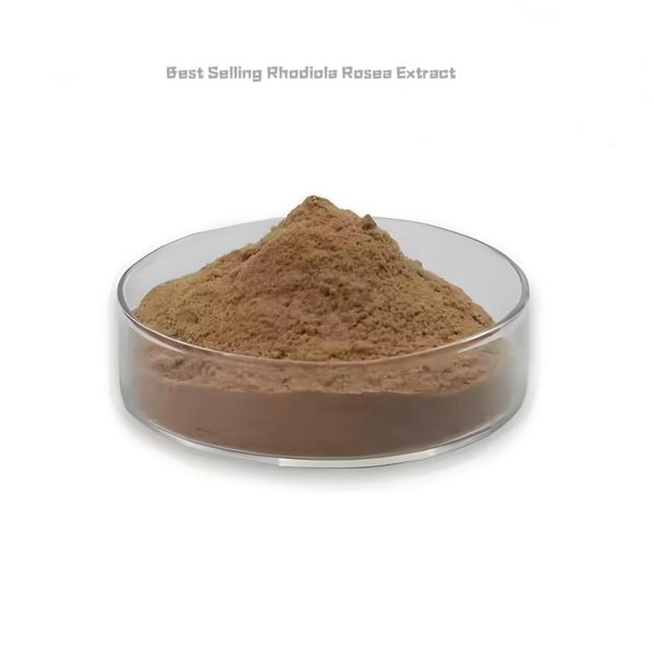 Rhodiola Rosea Extract Factory - Best Selling Herbal Supplement