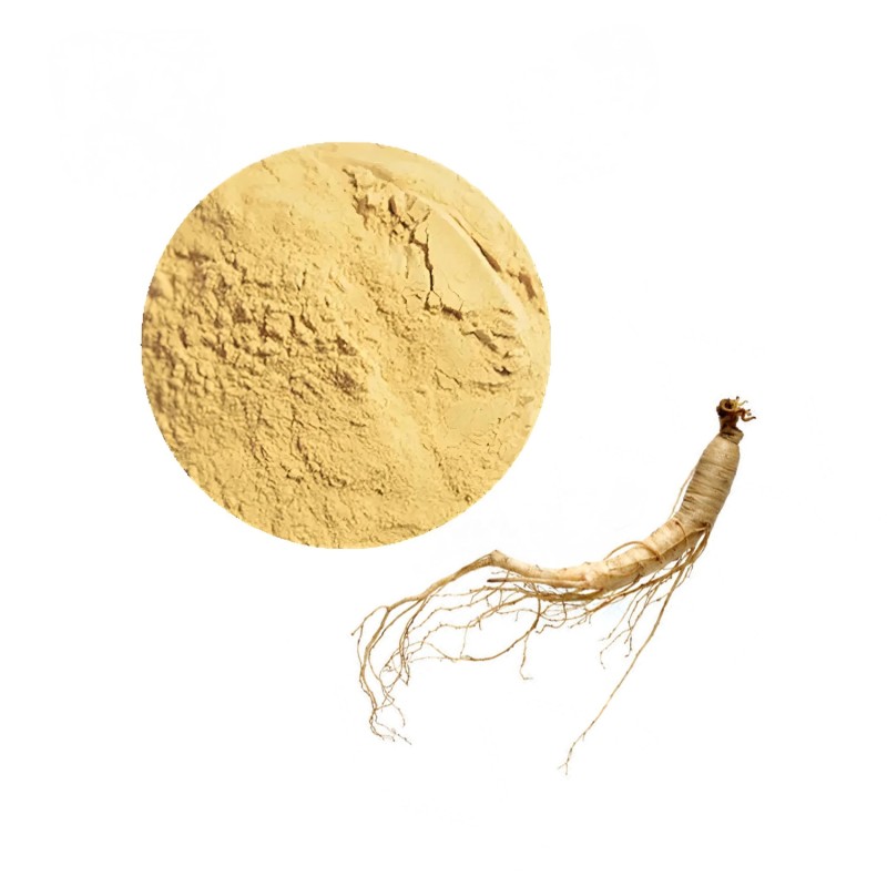 Red Ginseng Extract Manufacturer - Korea Ginsenoside 5%-80% Powder