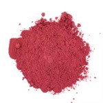 Gooseberry Extract Powder Factory - Natural Plant Extracts 10:1 20:1