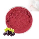 Gooseberry Extract Powder Factory - Natural Plant Extracts 10:1 20:1