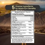 Shilajit Gummies Manufacturer - Ashwagandha Sea Moss Lions Mane