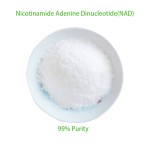 NAD Powder Manufacturer - Bulk 99% NAD+ NADH Nicotinamide