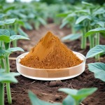 Okra Seed Extract Factory - Wholesale Price Food Grade Bulk Dry