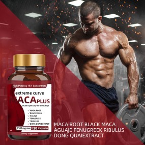 Maca Capsules Factory - Sports Supplement Herbal Export Quality