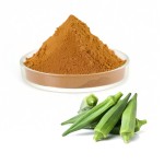 Okra Seed Extract Factory - Wholesale Price Food Grade Bulk Dry