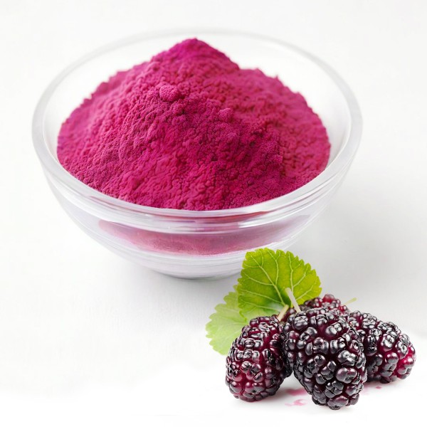Mulberry Fruit Powder Supplier - Pure Natural Best Price