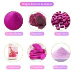 Dragon Fruit Powder Factory - Freeze Dried Organic Red Pink Pitaya