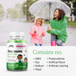 Sea Moss Gummies Supplier - Halal Kids 800mg Immune Support Vegan