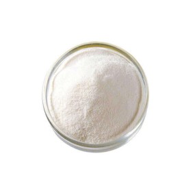 L-Cysteine HCL Manufacturer - Monohydrate CAS 7048-04-6