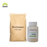 Dextranase Enzyme Supplier - CAS 9025-70-1 50000DU/g Beta-Dextranase