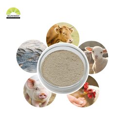 Bacillus Coagulans Powder Manufacturer - Compound for Pets Bulk