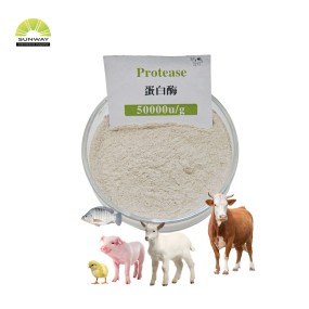 Multi-Enzyme Complex Supplier - Feed Grade Protease Amylase Blend