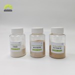 Bacillus Subtilis Powder Manufacturer - 100 Billion CFU/g Animal Probiotics