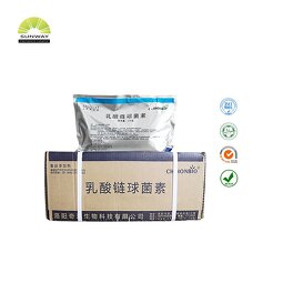 Nisin Powder Manufacturer - ISO Certified Food Preservative E234 Bulk