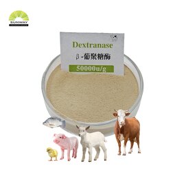 Dextranase Enzyme Supplier - CAS 9025-70-1 50000DU/g Beta-Dextranase