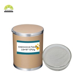 Enterococcus Faecalis Powder Supplier - High Potency 100 Billion Probiotics