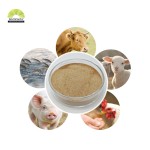 Bacillus Subtilis Powder Manufacturer - 100 Billion CFU/g Animal Probiotics