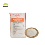 L-Arginine HCL Powder Supplier - Feed Grade Amino Acid CAS 74-79-3