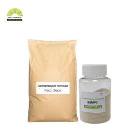 Brewer Yeast Powder Factory - Animal Feed Additive 10 Billion Cfu/g