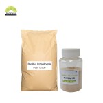 Bacillus Subtilis Powder Manufacturer - 100 Billion CFU/g Animal Probiotics