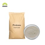 Multi-Enzyme Complex Supplier - Feed Grade Protease Amylase Blend
