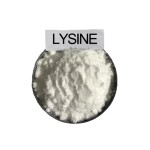 饲料级l -赖氨酸粉末添加剂，用于动物饲料98.5%动物营养