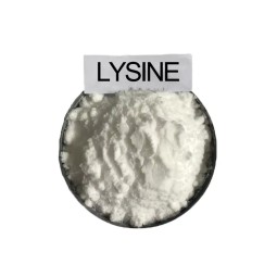 饲料级l -赖氨酸粉末添加剂，用于动物饲料98.5%动物营养