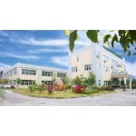 Glycerin Monostearate Manufacturer - GMS40 Flakes Cosmetic